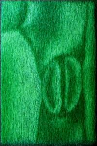 Illustration for article titled Is "Stay-Green Grass" The Artist's Medium Of The Future?